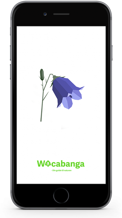 flora-app-wacabanga